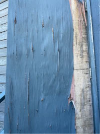 External Fire Door before